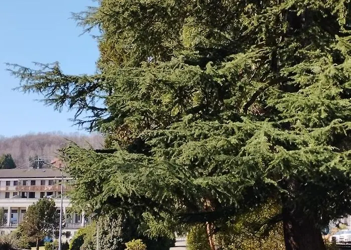 La Tana Del Ghiro Valdilana Appartamento *
